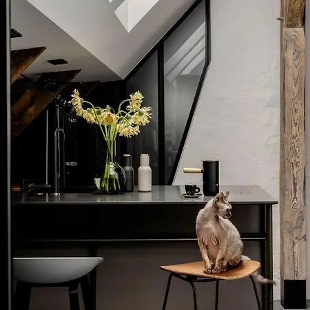 公寓 Mystictone - Loft In The Heart Of - Nowy Swiat Roomtones