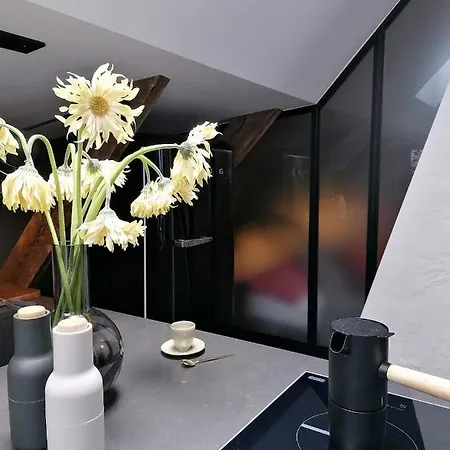 Apartament Mystictone - Loft In The Heart Of - Nowy Swiat Roomtones Warszawa